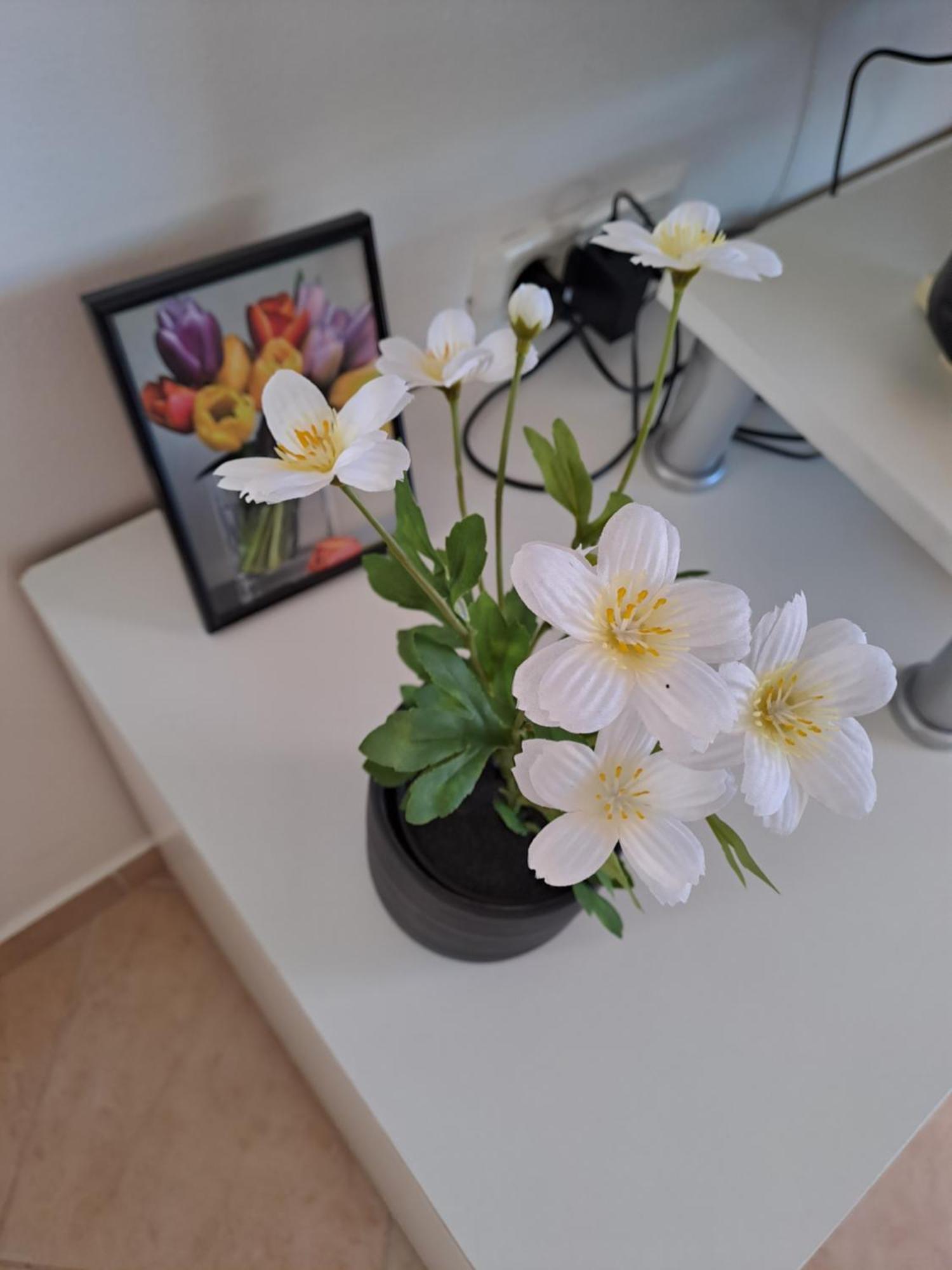Apartman Valbandon Fažana Eksteriør billede
